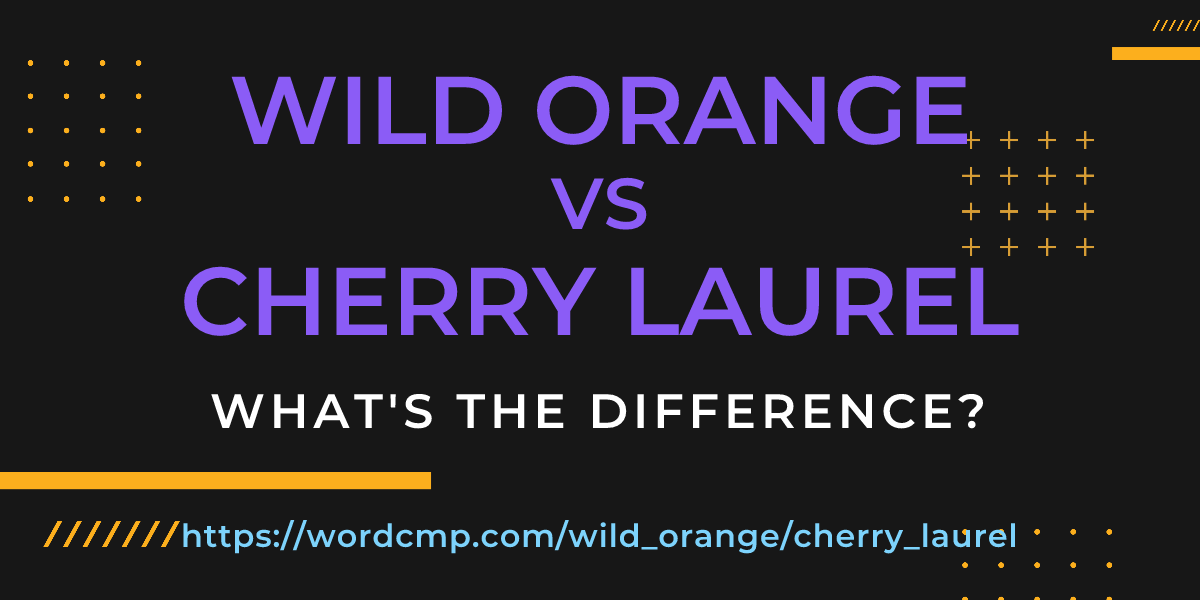 Difference between wild orange and cherry laurel