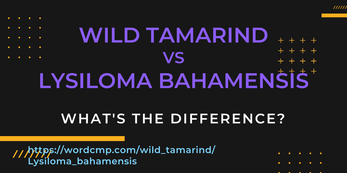 Difference between wild tamarind and Lysiloma bahamensis
