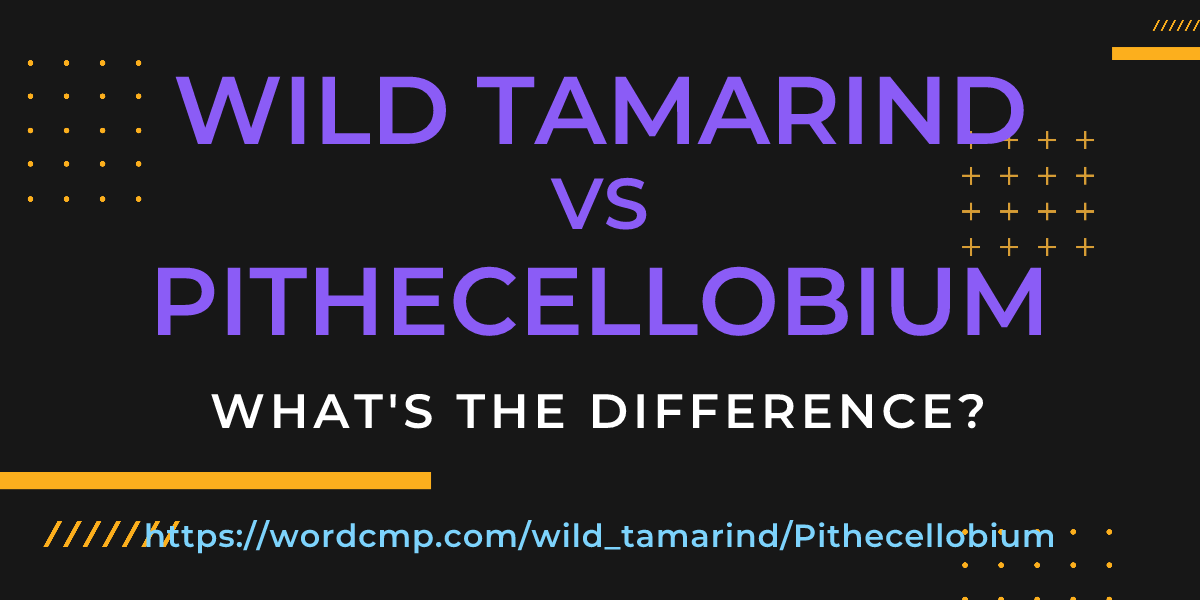 Difference between wild tamarind and Pithecellobium