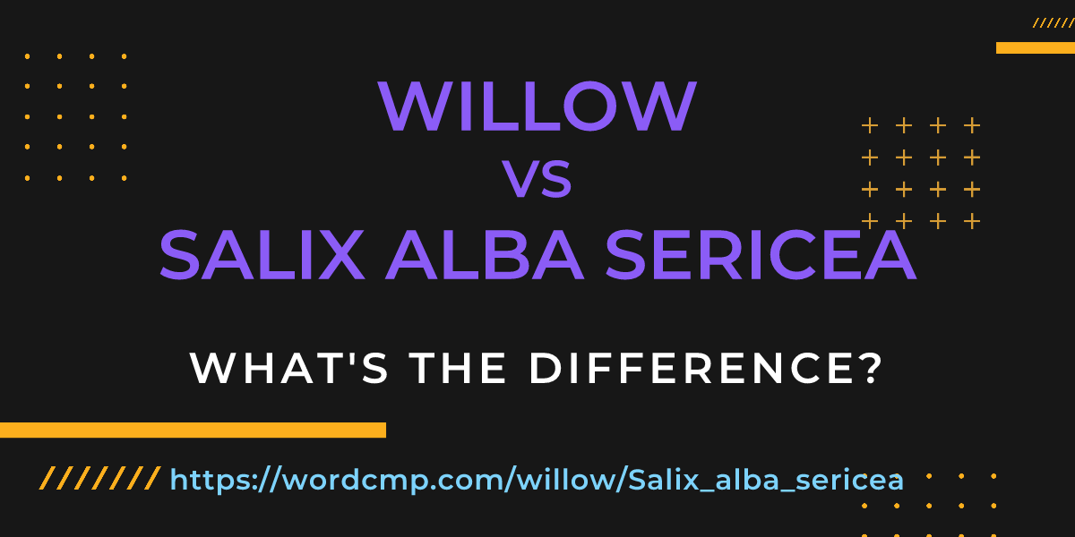 Difference between willow and Salix alba sericea
