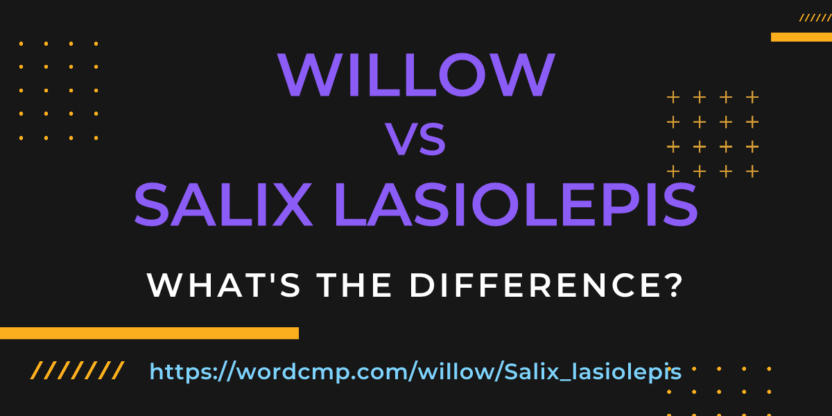 Difference between willow and Salix lasiolepis
