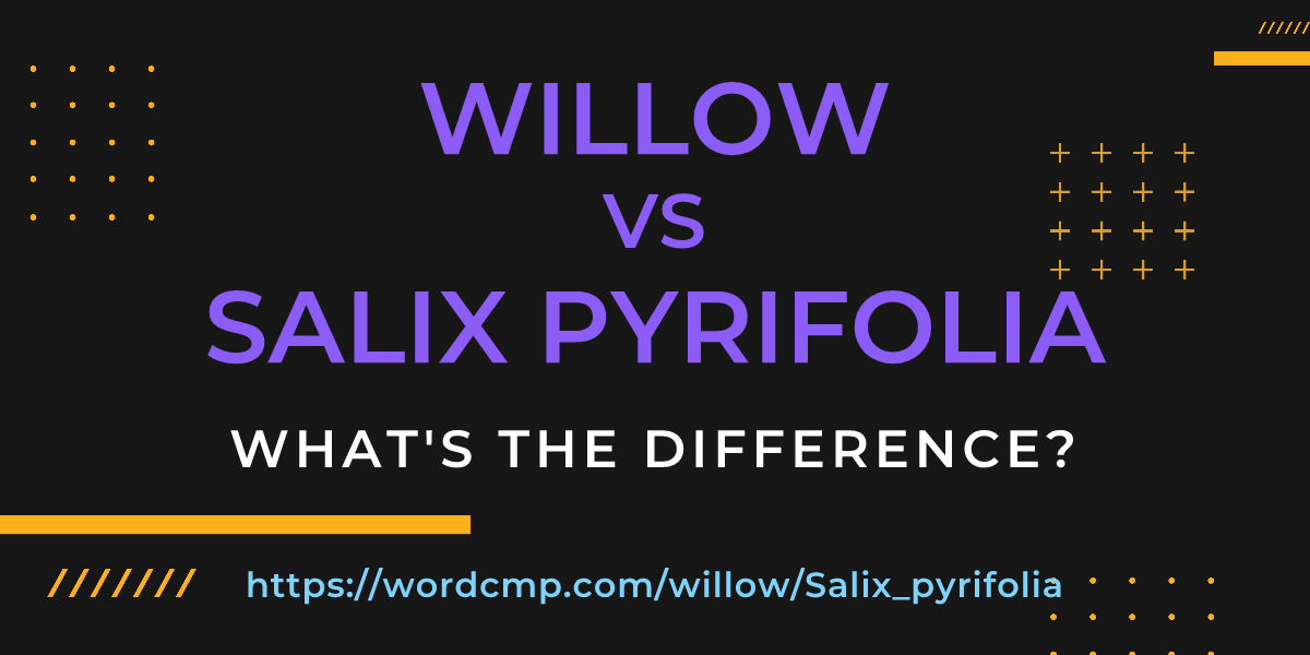 Difference between willow and Salix pyrifolia