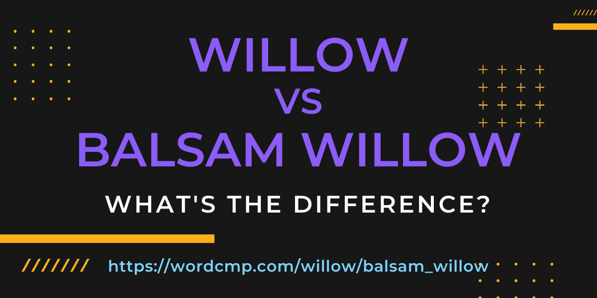 Difference between willow and balsam willow