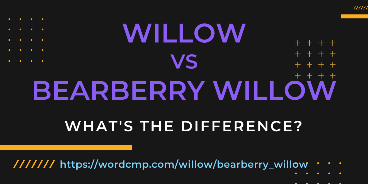 Difference between willow and bearberry willow