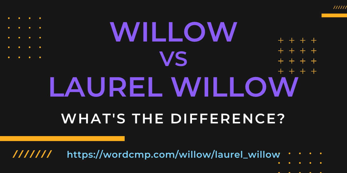 Difference between willow and laurel willow