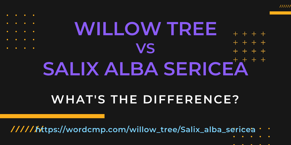 Difference between willow tree and Salix alba sericea
