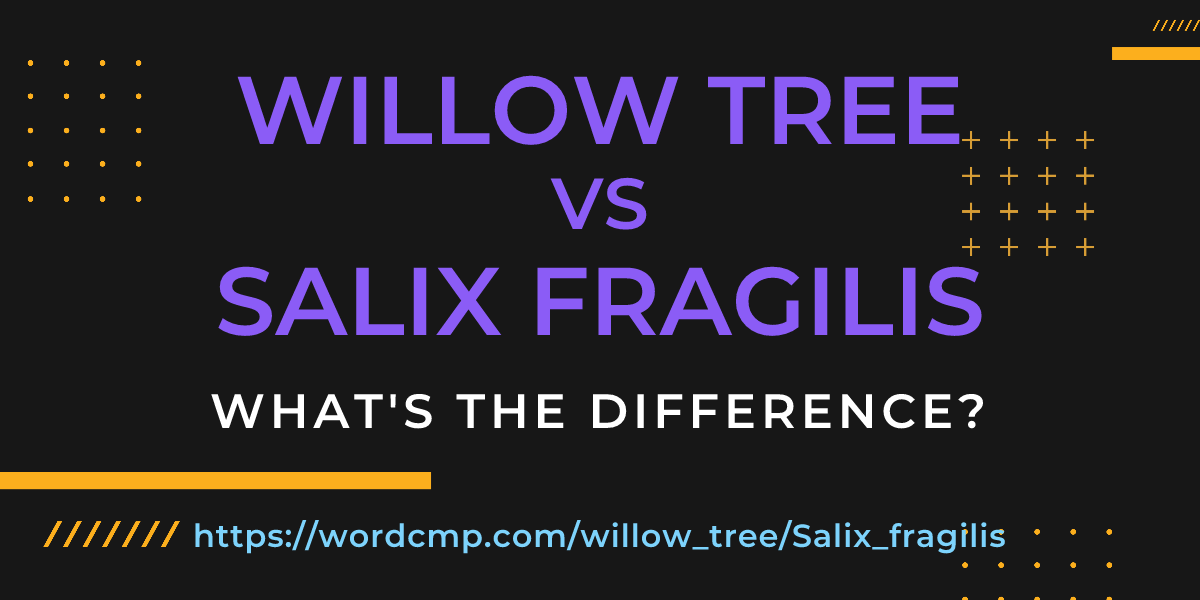 Difference between willow tree and Salix fragilis