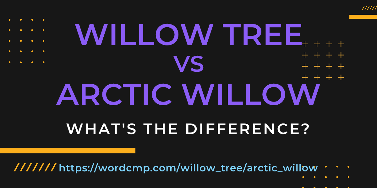Difference between willow tree and arctic willow