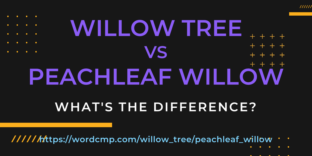 Difference between willow tree and peachleaf willow