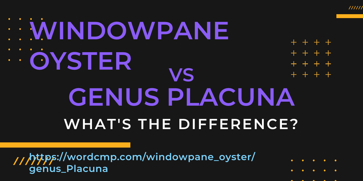 Difference between windowpane oyster and genus Placuna