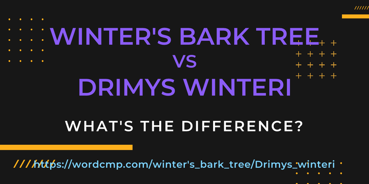 Difference between winter's bark tree and Drimys winteri