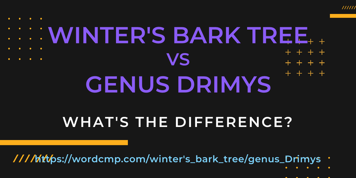 Difference between winter's bark tree and genus Drimys