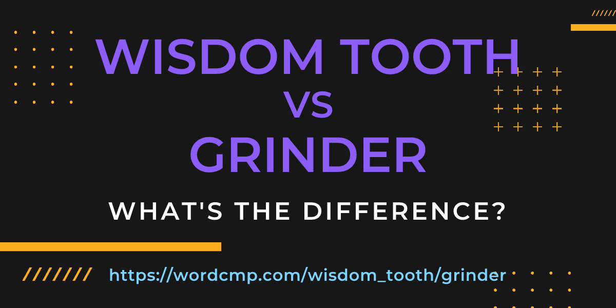 Difference between wisdom tooth and grinder