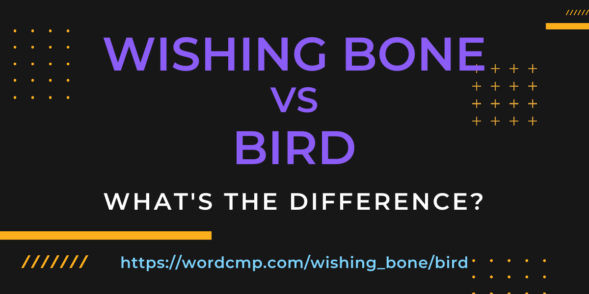 Difference between wishing bone and bird