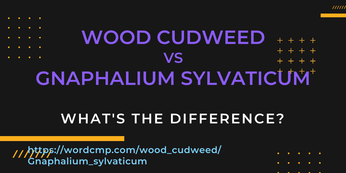 Difference between wood cudweed and Gnaphalium sylvaticum