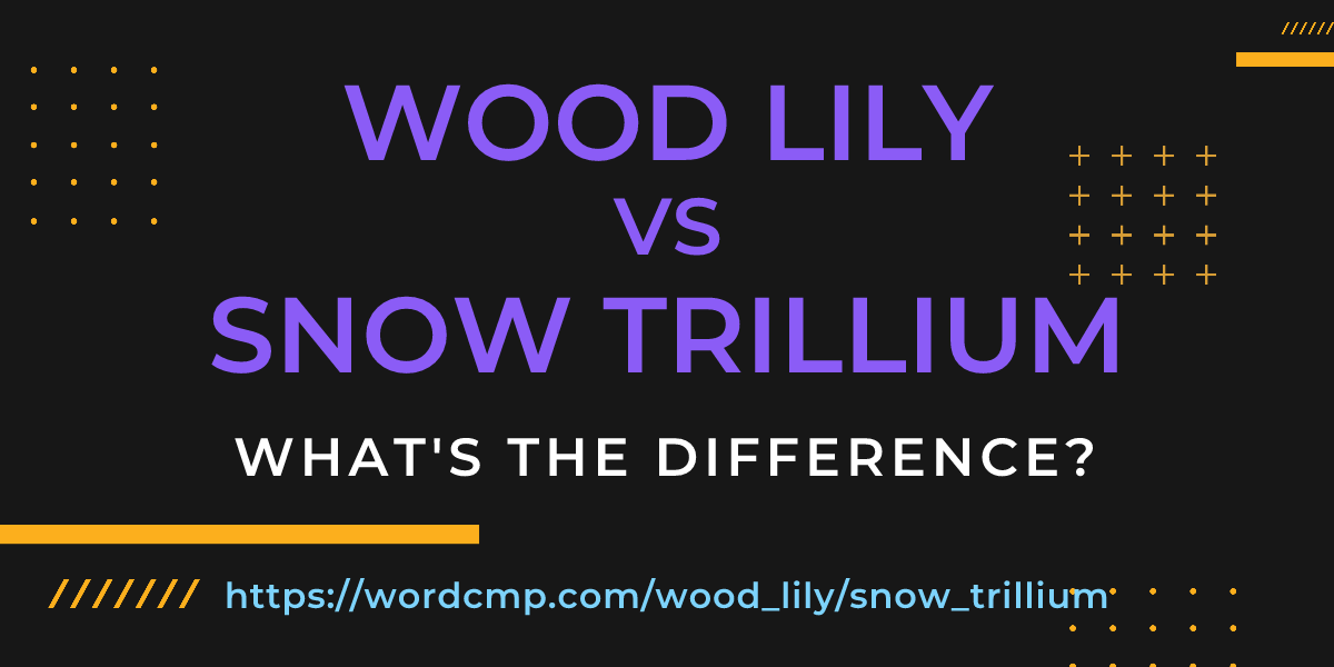 Difference between wood lily and snow trillium