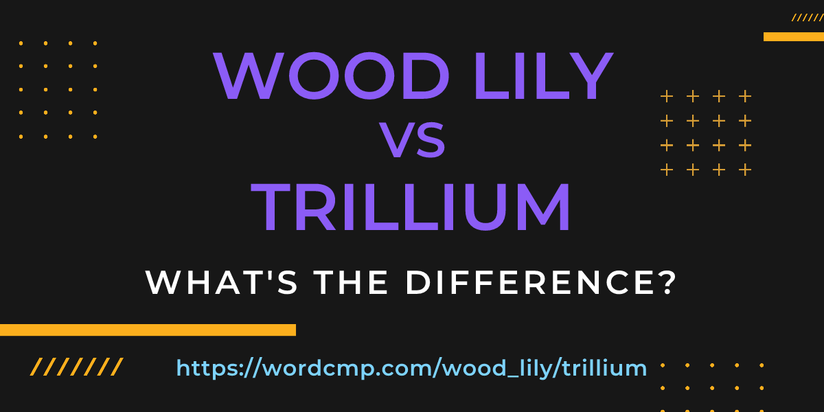 Difference between wood lily and trillium