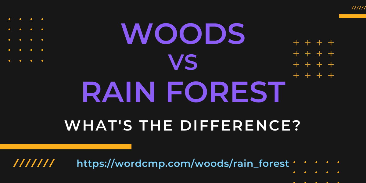 Difference between woods and rain forest