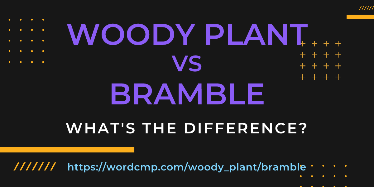 Difference between woody plant and bramble