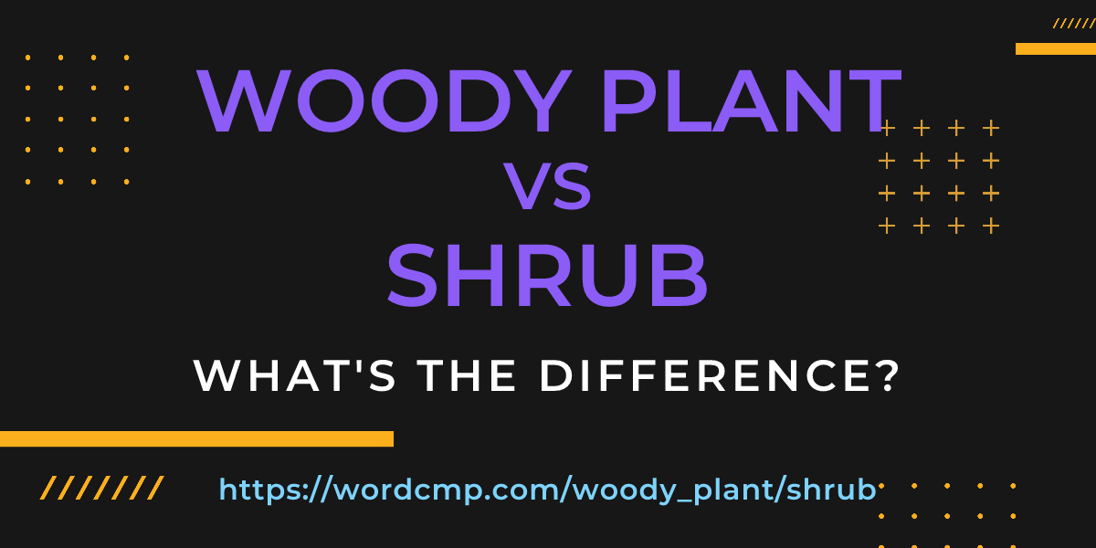 Difference between woody plant and shrub