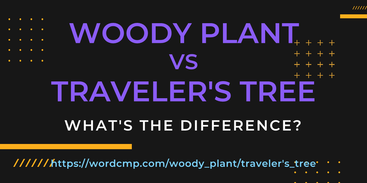 Difference between woody plant and traveler's tree