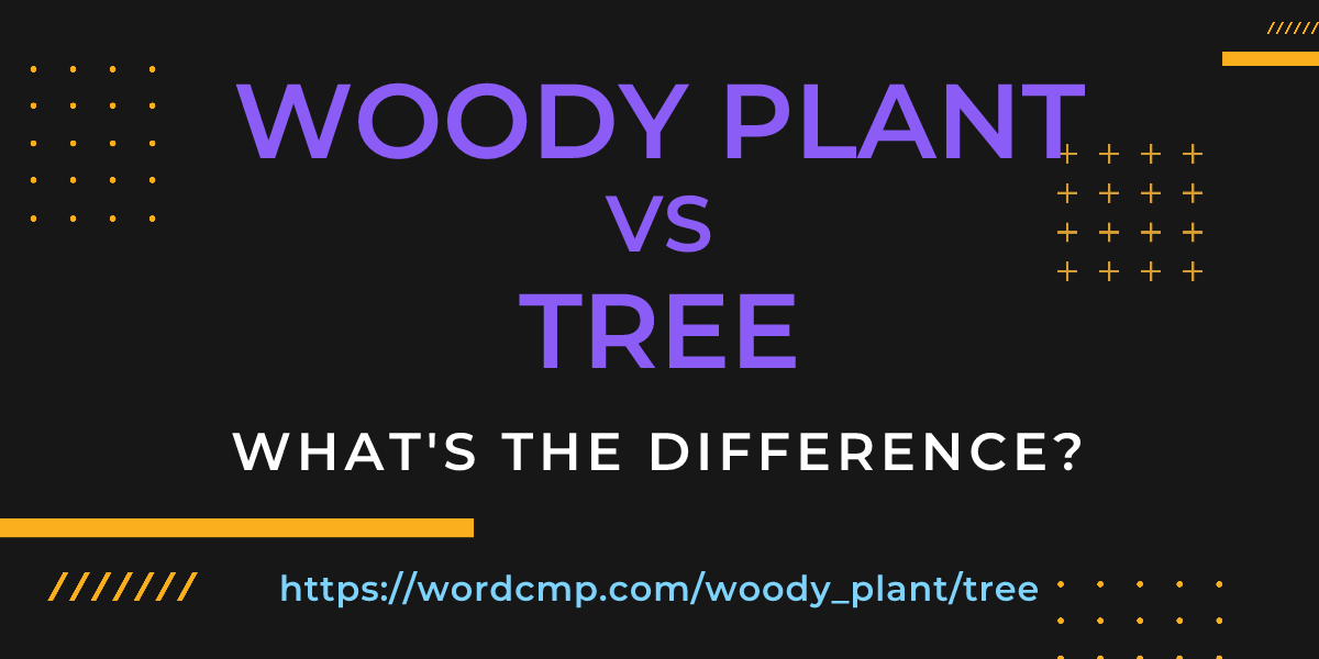 Difference between woody plant and tree