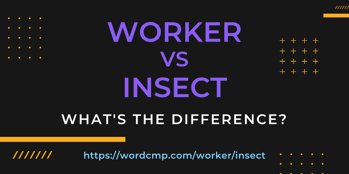 Difference between worker and insect