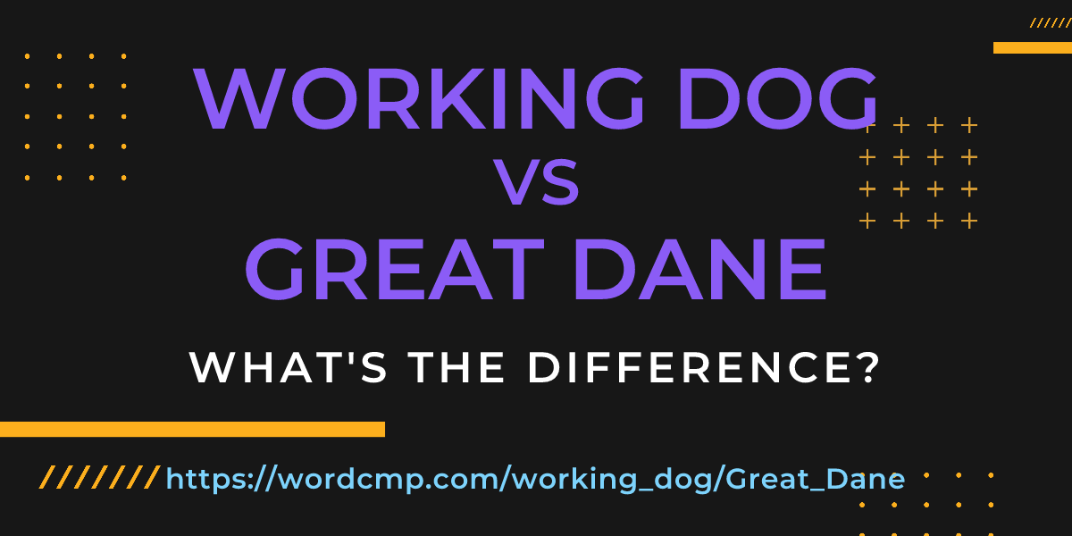 Difference between working dog and Great Dane