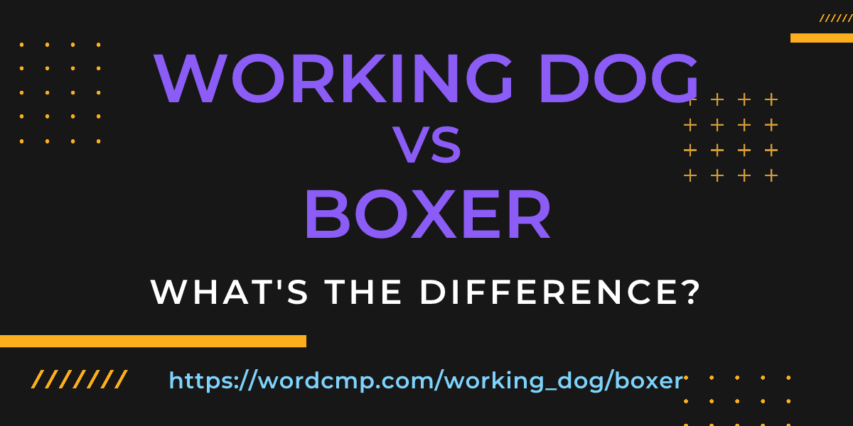 Difference between working dog and boxer