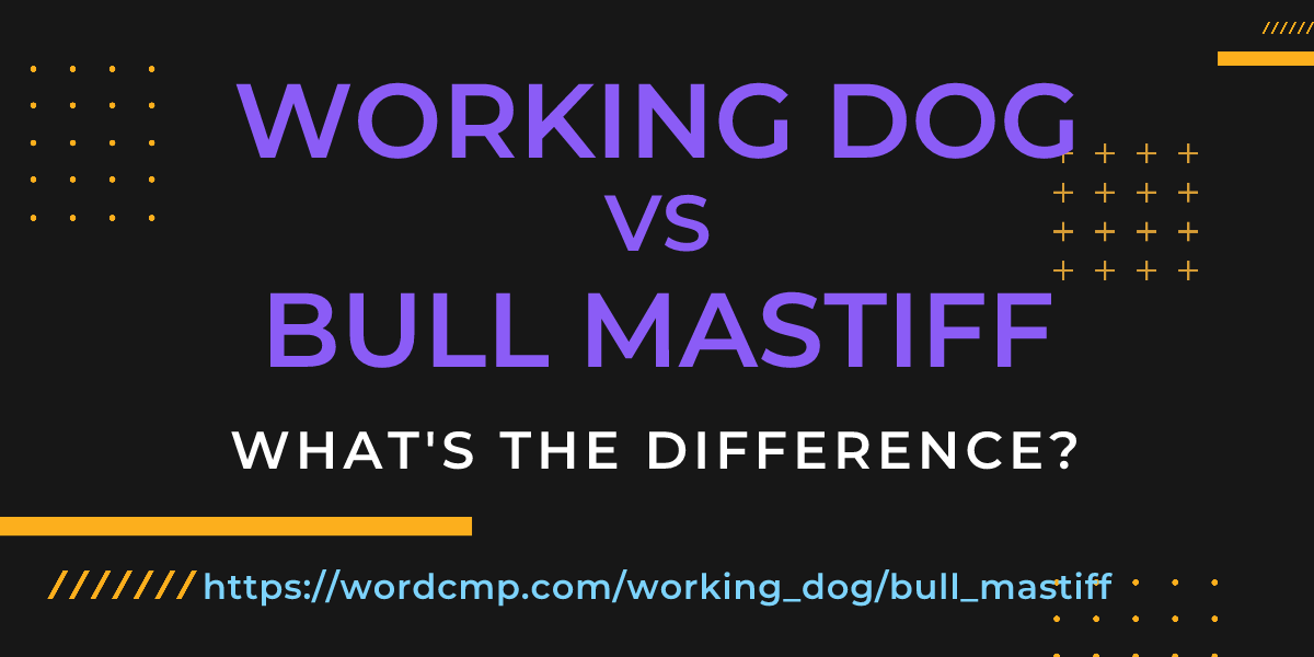 Difference between working dog and bull mastiff