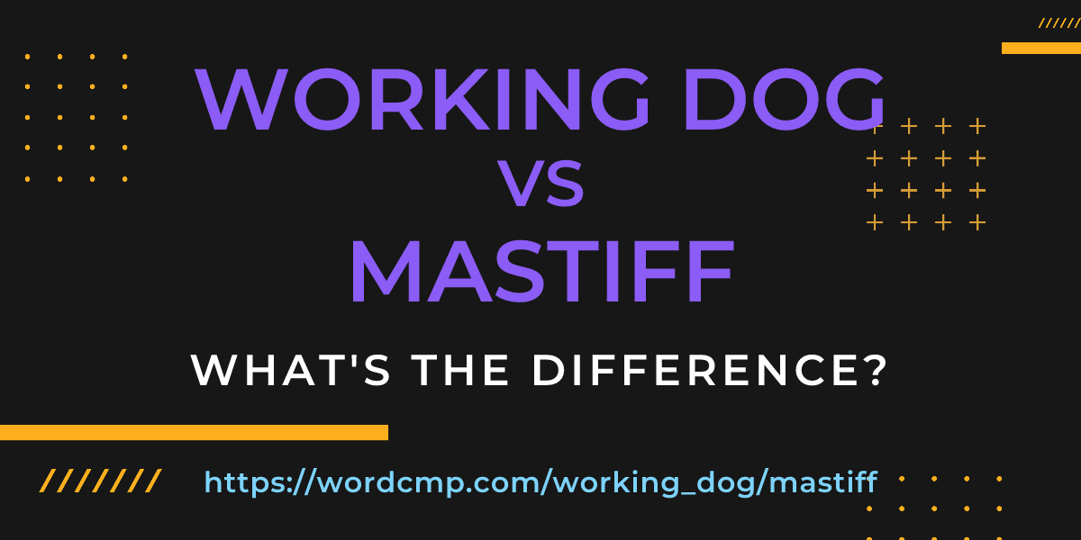 Difference between working dog and mastiff