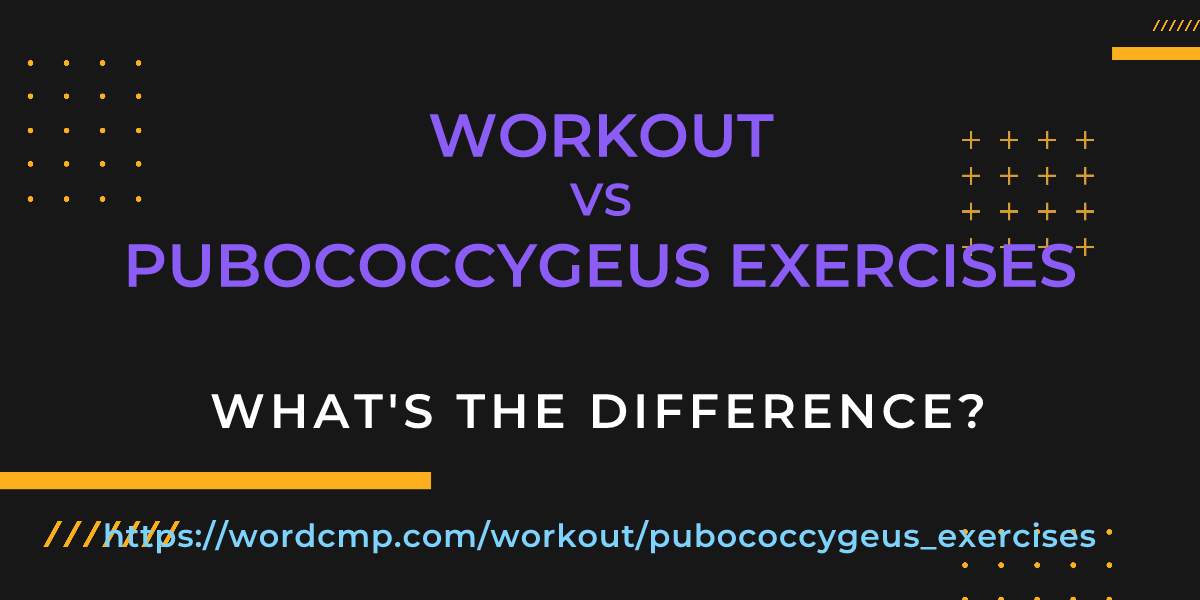 Difference between workout and pubococcygeus exercises