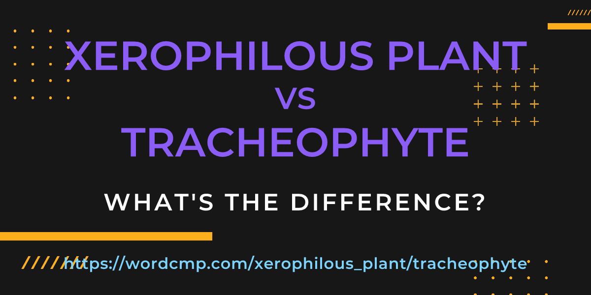 Difference between xerophilous plant and tracheophyte