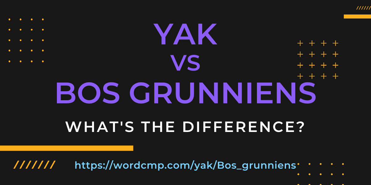 Difference between yak and Bos grunniens