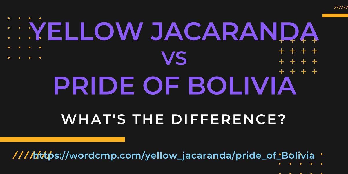 Difference between yellow jacaranda and pride of Bolivia