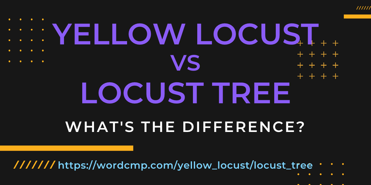 Difference between yellow locust and locust tree