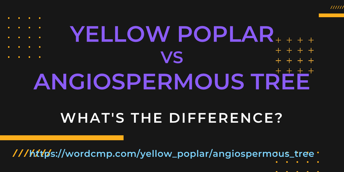 Difference between yellow poplar and angiospermous tree