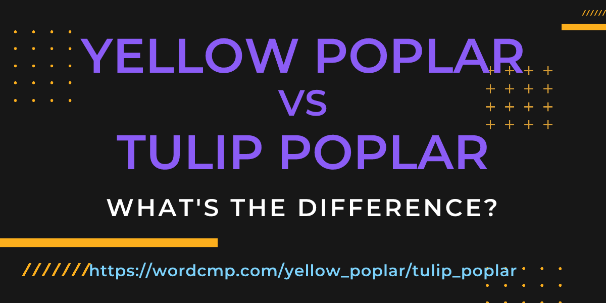 Difference between yellow poplar and tulip poplar