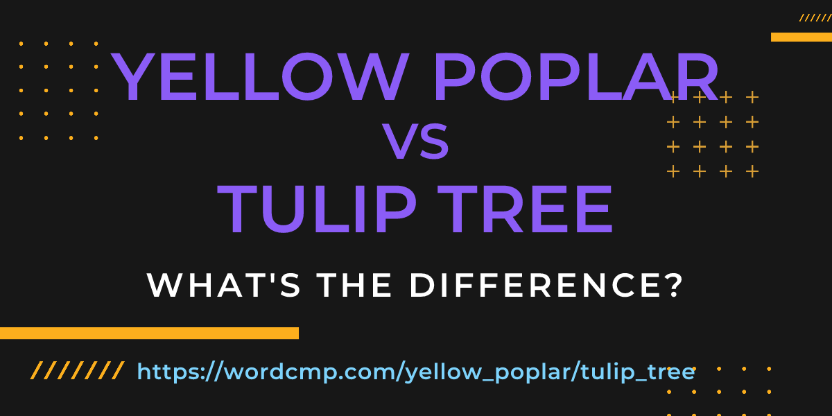 Difference between yellow poplar and tulip tree