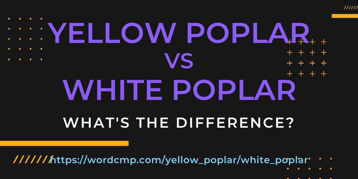 Difference between yellow poplar and white poplar