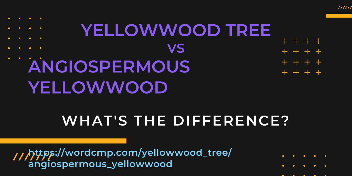 Difference between yellowwood tree and angiospermous yellowwood