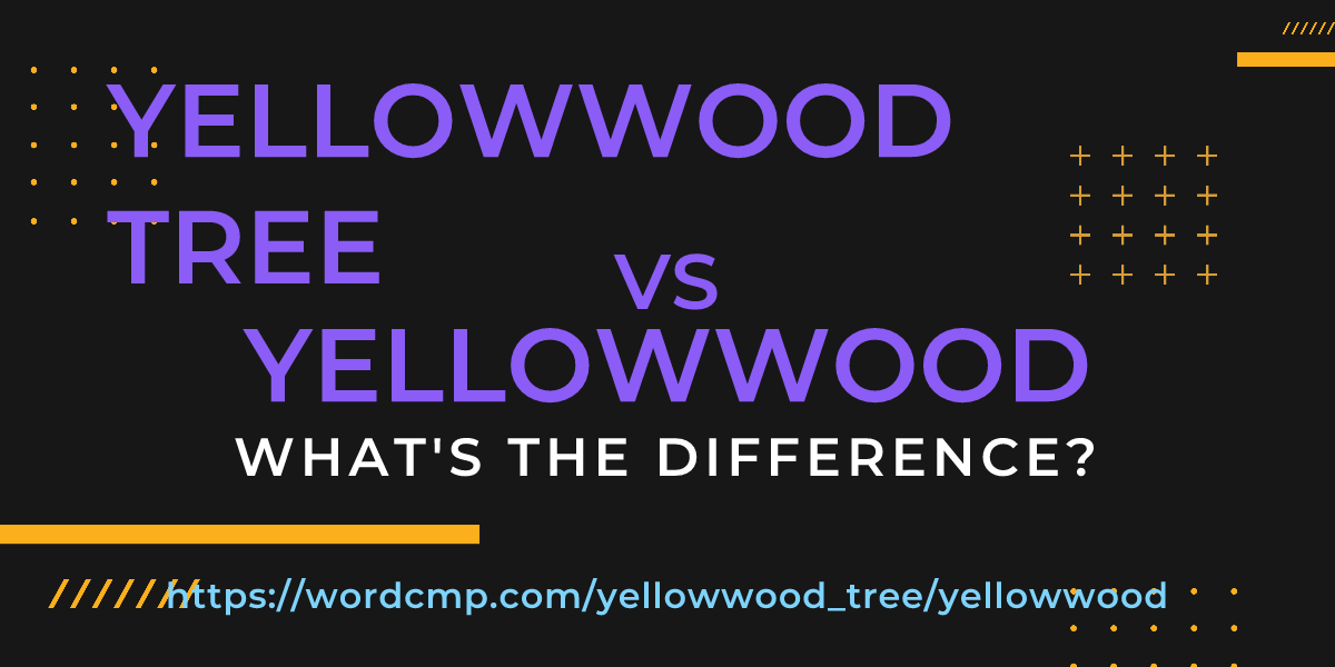 Difference between yellowwood tree and yellowwood