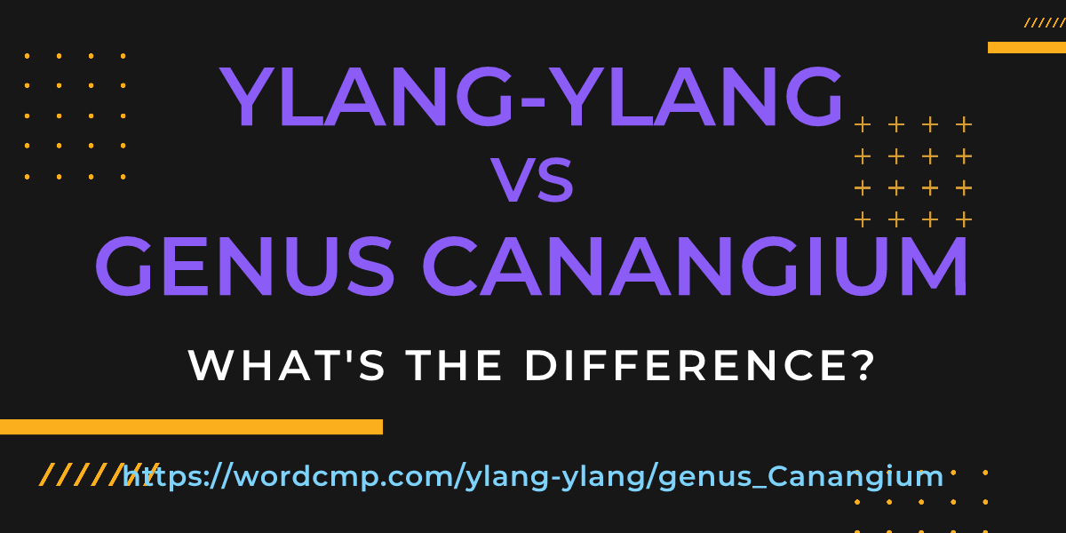 Difference between ylang-ylang and genus Canangium