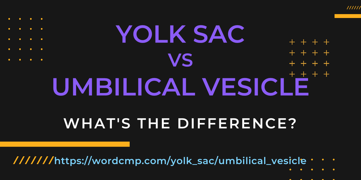 Difference between yolk sac and umbilical vesicle