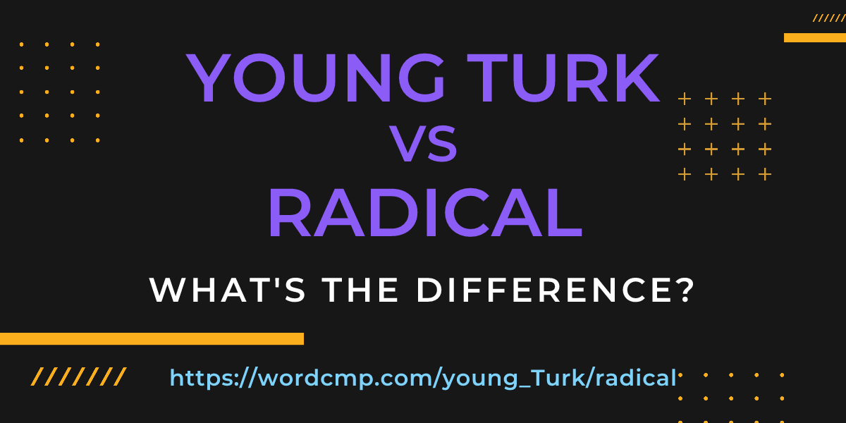 Difference between young Turk and radical