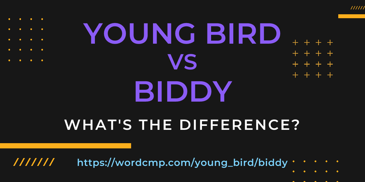 Difference between young bird and biddy
