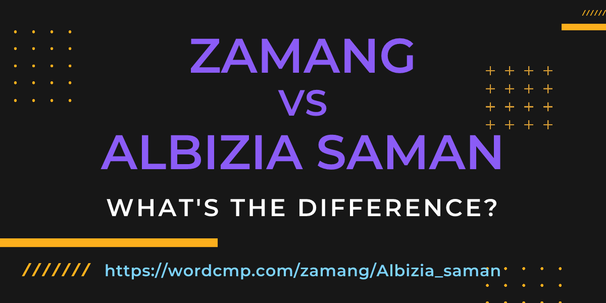 Difference between zamang and Albizia saman