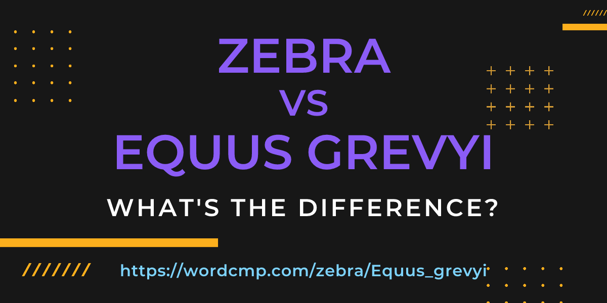 Difference between zebra and Equus grevyi