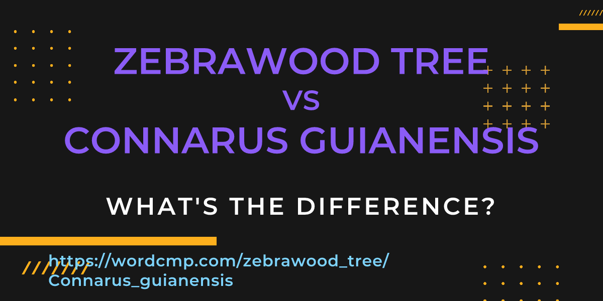 Difference between zebrawood tree and Connarus guianensis