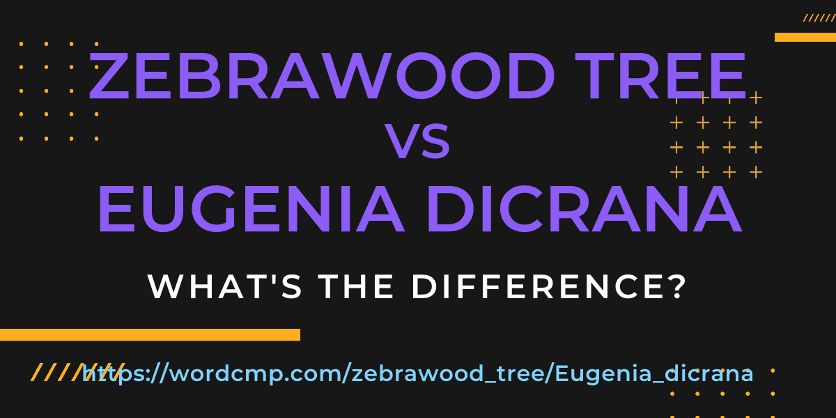 Difference between zebrawood tree and Eugenia dicrana